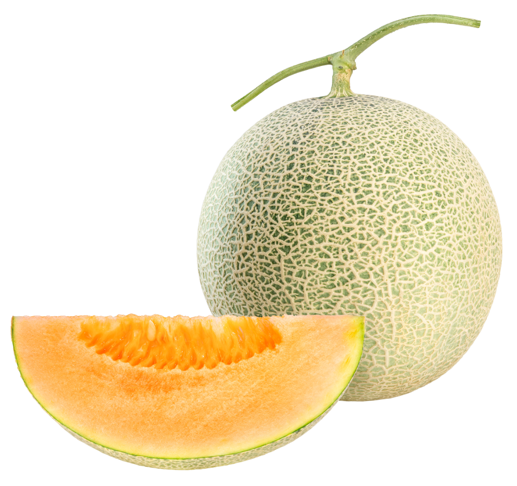 哈密瓜