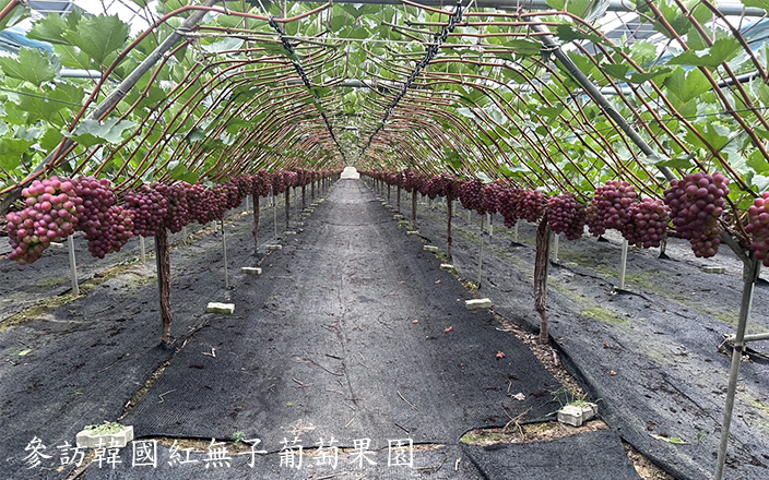 成果紀錄圖片