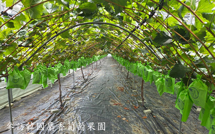 成果紀錄圖片