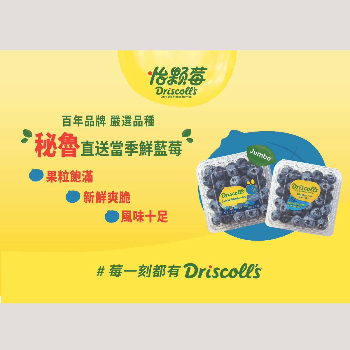 💙 好消息！國際頂級莓果品牌──怡顆莓即將再次登場！