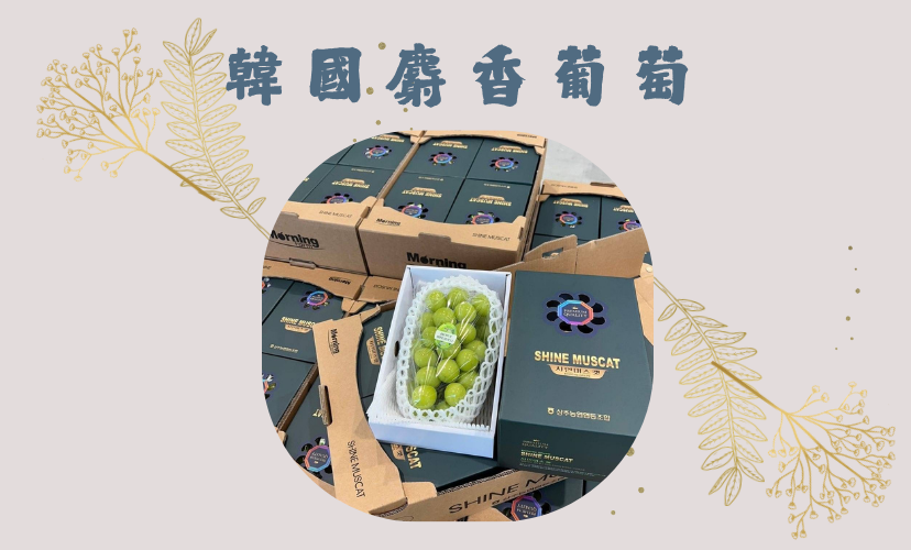💚 每一口都是香甜爆汁的享受！ 韓國麝香葡萄 即將登場 🍇