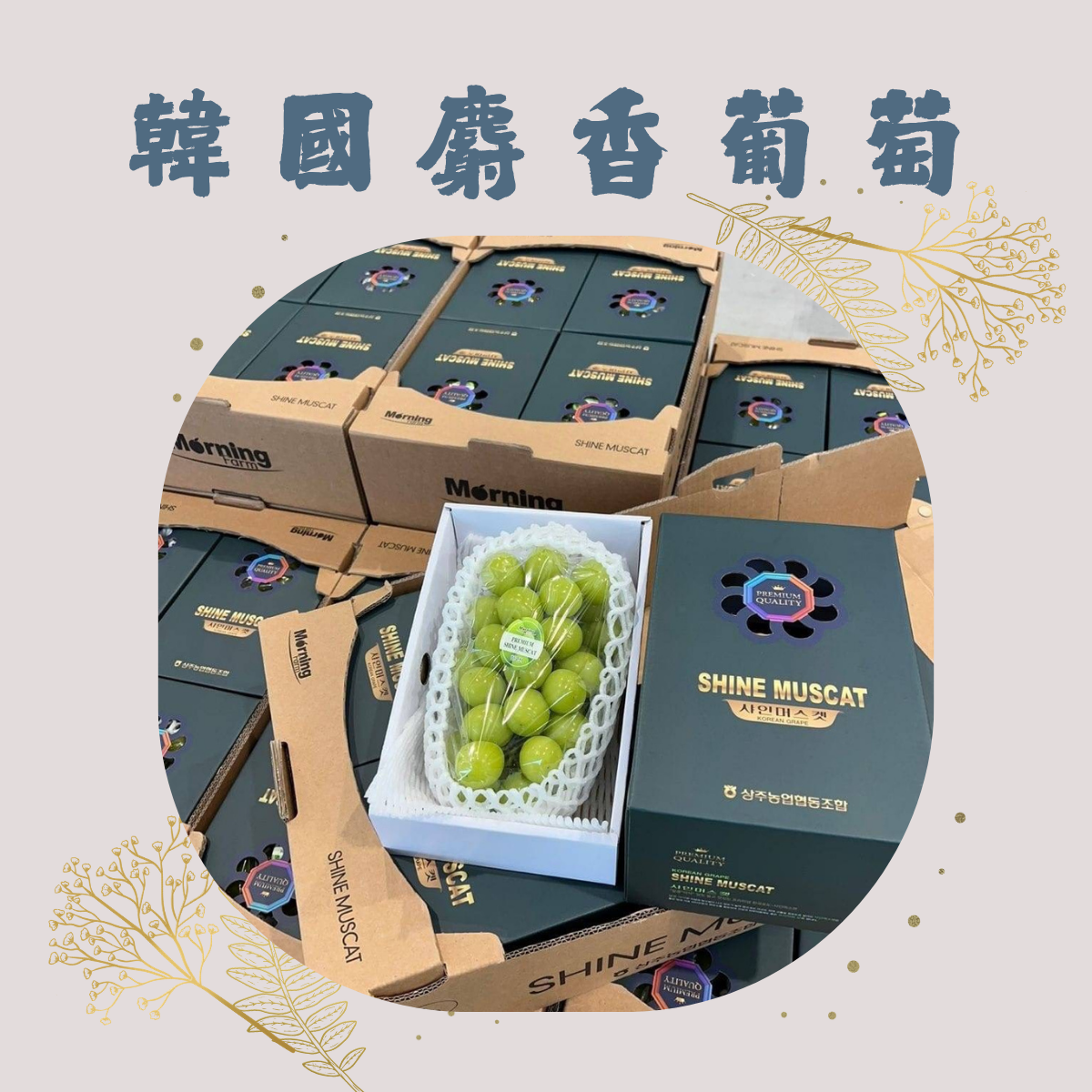 💚 每一口都是香甜爆汁的享受！ 韓國麝香葡萄 即將登場 🍇