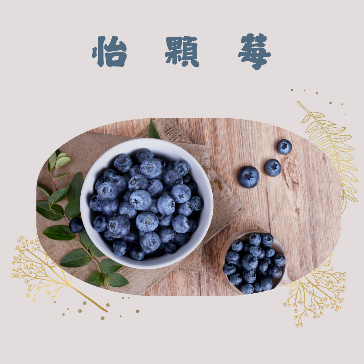 💙 好消息！國際頂級莓果品牌──怡顆莓即將再次登場！